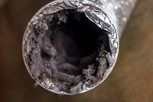 Best Dryer Vent Cleaning in USA